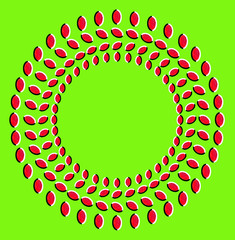 Optical illusion with circles made from dried fruits - 43487526