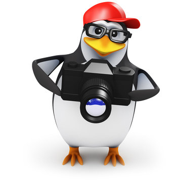 3d Penguin in baseball hat with SLR Camera