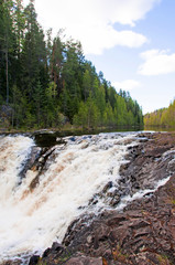 Waterfall Kivach in Karelia, Russia