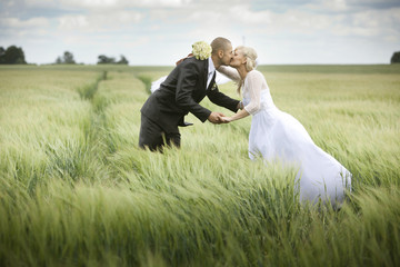 Bride and groom kissing in cereal fields