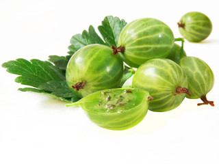 gooseberry with leaves