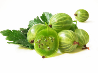 gooseberry with leaves