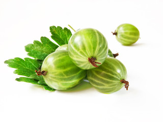 gooseberry with leaves