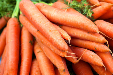 Carrots