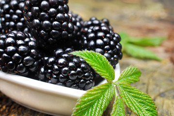 Brombeeren im Schälchen
