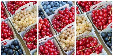 Envie de Groseilles !