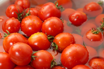 Tomatoes in water