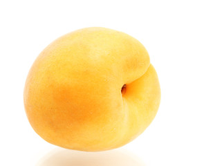 ripe sweet apricot isolated on white