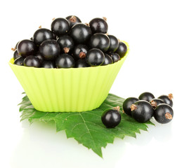 Fresh black currant in silicone mold isolated on white