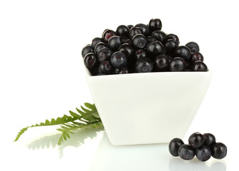 Fresh blueberries in white bowl isolated on white