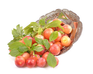 Fresh delicious plums in a metal container  isolated