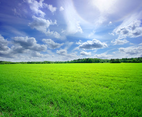 A beautiful view of a green field and the blue sky with clouds