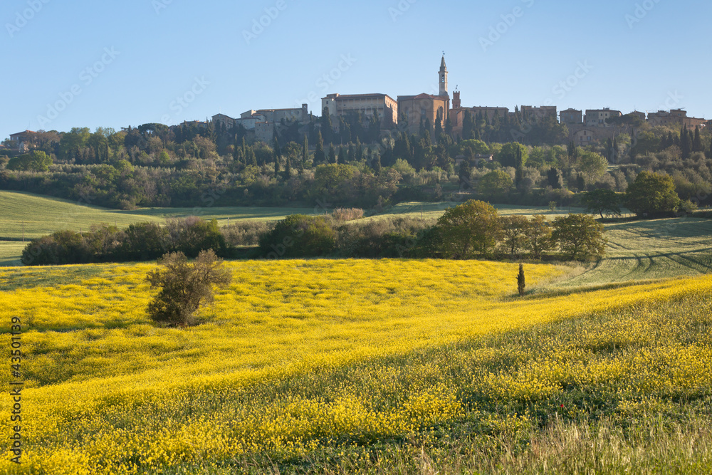 Canvas Prints Morning fog view on Pienza town