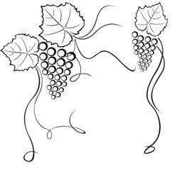 weinbeere outlines