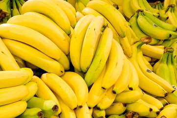 Bananas close up