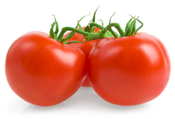 tomatoes