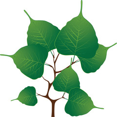 Branch with green leaves, vector illustration - obrazy, fototapety, plakaty