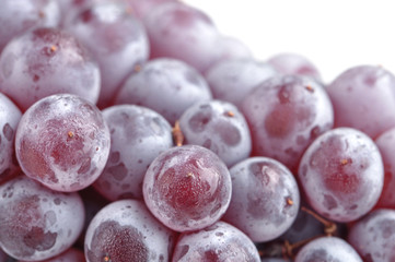 Champagne grapes