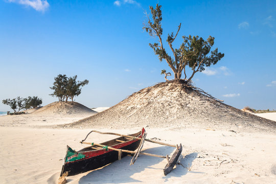 Dunes and wild beach