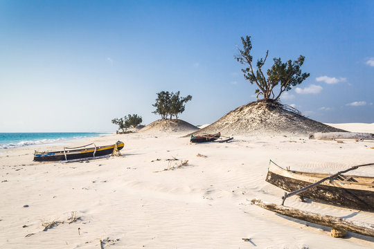 Dunes and wild beach