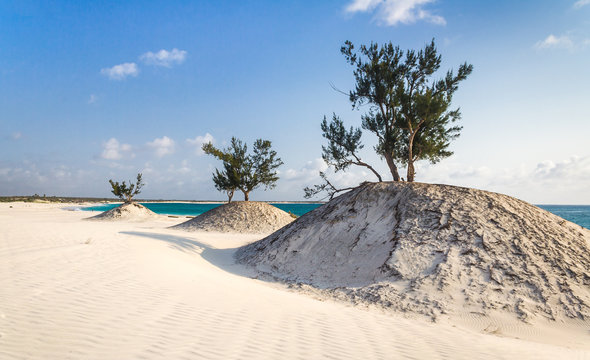 Dunes and wild beach
