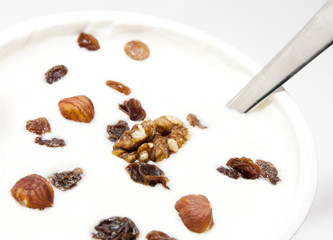 closup of cottage cheese