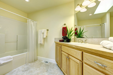 Simple large bathroom with tub and wood cabinets.