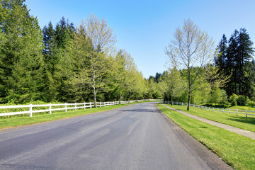 Road with white fence and spring trees.