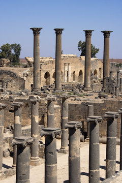 Bosra (syrie)