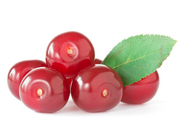 cherries with a green leaf