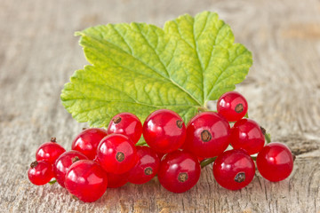 red currant