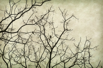 tree with old grunge antique paper texture