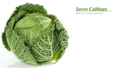 Fototapeta premium savoy cabbage