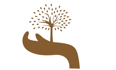 Hand holding tree : Please protect our forest