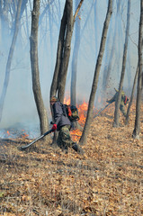 Suppression of forest fire 62