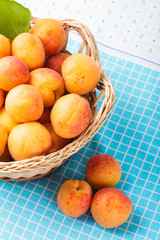 Apricots