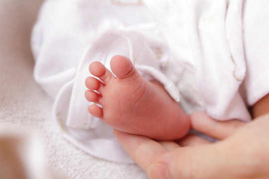 Little baby feet and mother hand