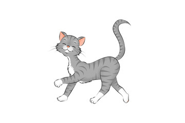 08 Katze grau getigert