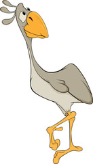 Ostrich. Cartoon