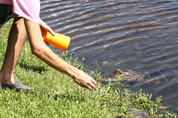 Teen feeding an Alligator