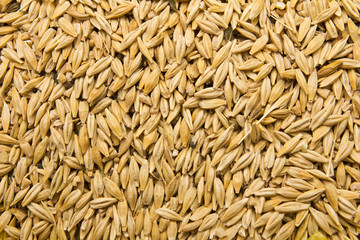 Fototapeta premium oats as a background