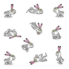 playing rabbits