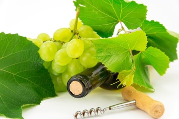 Bottle of wine with grape vines