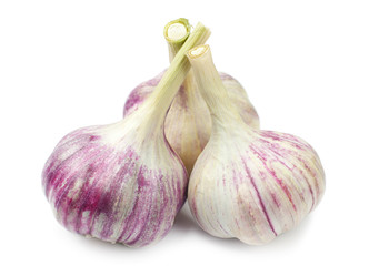 Obraz premium Three fresh garlic