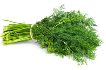 dill on white background