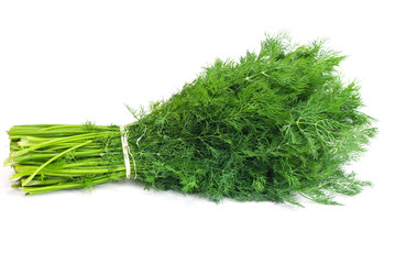 dill on white background
