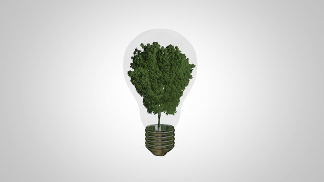 green energy - light bulb with a tree inside