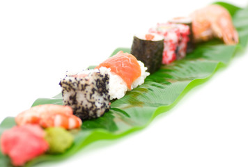 Traditional Japanese food Sushi. Sushi collection