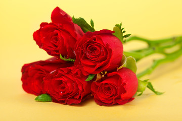 Red rose over yellow