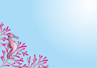 タツノオトシゴ